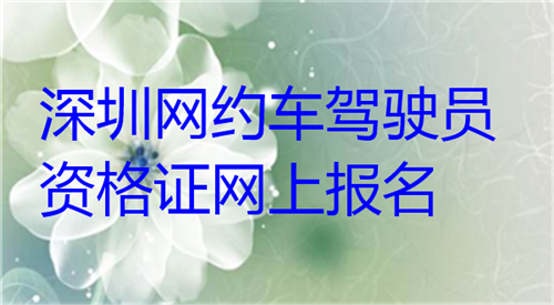 深圳网约车驾驶员资格证网上报名