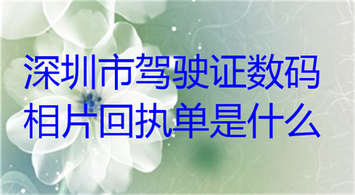 深圳驾驶证数码相片回执单是什么