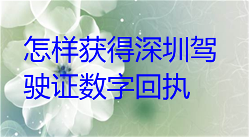怎么获得深圳驾驶证数码回执