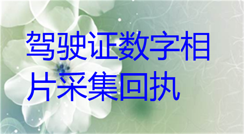驾驶证数字照片采集回执