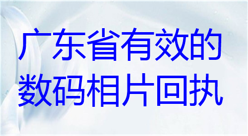 广东省有效数码相片回执