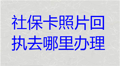 社保卡照片回执去哪里办理
