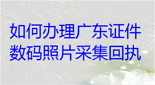 如何办理广东证件数码照片采集回执？