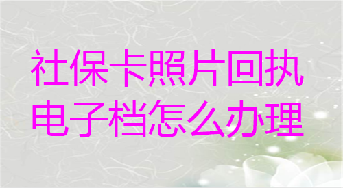 社保卡照片回执电子档怎么办理？