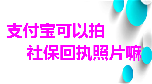 支付宝可以拍社保回执照片嘛