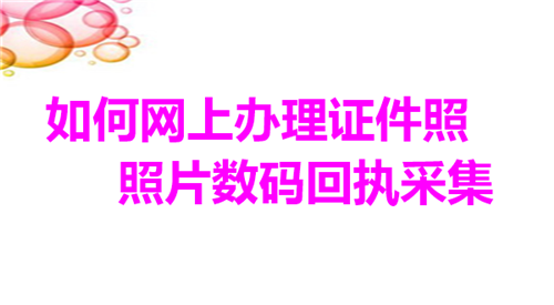 如何网上办理证件照照片数码回执采集？