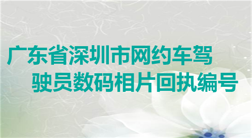 广东省深圳市网约车驾驶员数码相片回执编号