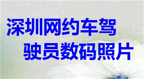 深圳网约车驾驶员数码照片