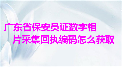 广东省保安员证数字相片采集回执编码怎么获取