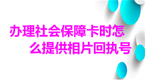 办理社会保障卡怎么提供相片回执号