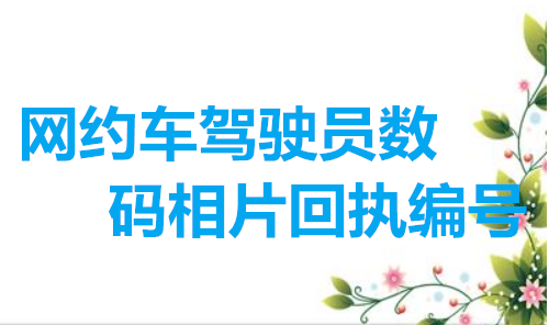 网约车驾驶员数码相片回执编号