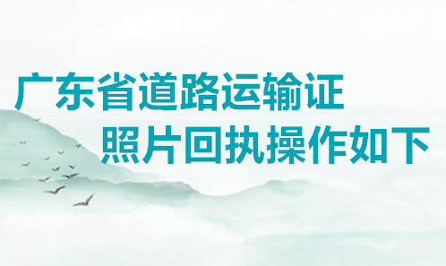 广东省道路运输证照片回执操作如下