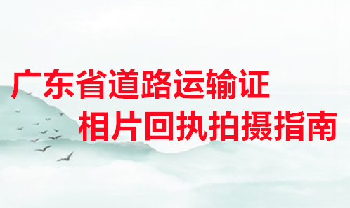 广东省道路运输证相片回执拍摄指南