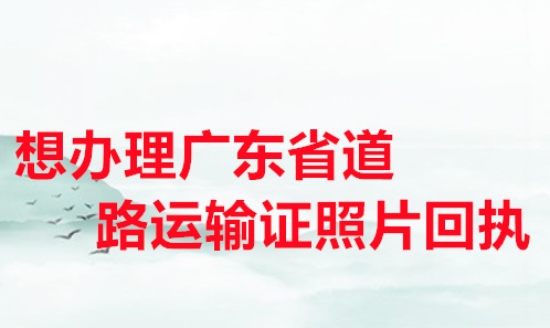 想办理广东省道路运输证照片回执