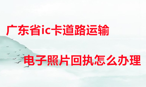 广东省ic卡道路运输电子照片回执怎么办理