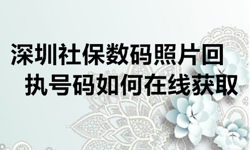 深圳社保数码照片回执号码如何在线获取