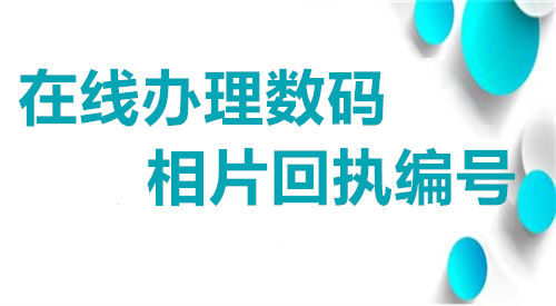 在线办理数码相片回执编号