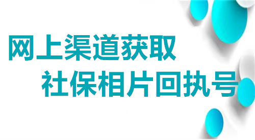 网上渠道获取社保相片回执号