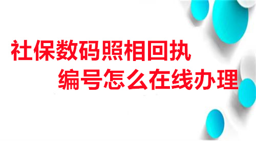 社保数码照相回执编号怎么在线办理