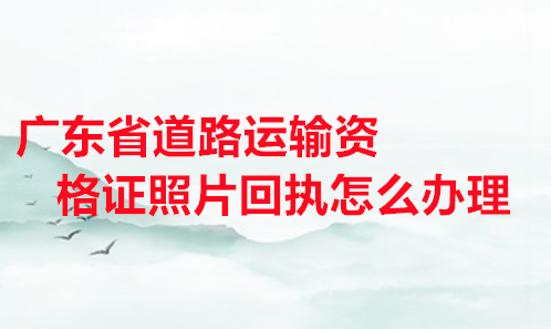 广东省道路运输资格证照片回执怎么办理