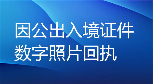 因公出入境证件数字照片回执