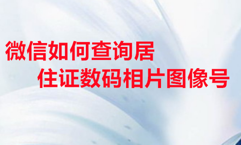 微信如何查询居住证数码相片图像号