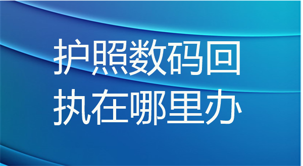 护照数码真在哪里办