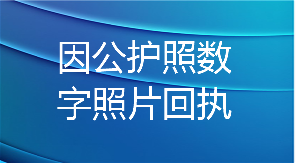 因公护照数字照片回执