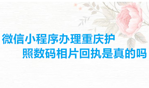 微信小程序办理重庆护照数码相片回执是真的吗