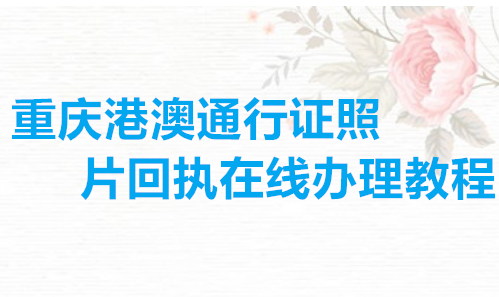 重庆护照数码相片回执在线办理教程