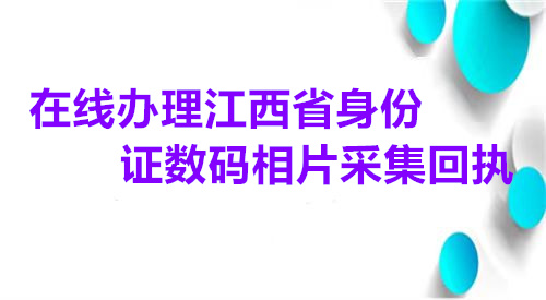 在线办理江西省身份证数码相片采集回执