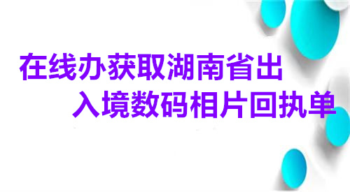 在线办获取湖南省出入境数码相片回执单