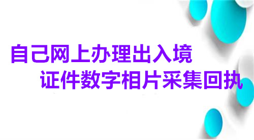 自己网上办理出入境数字相片采集回执