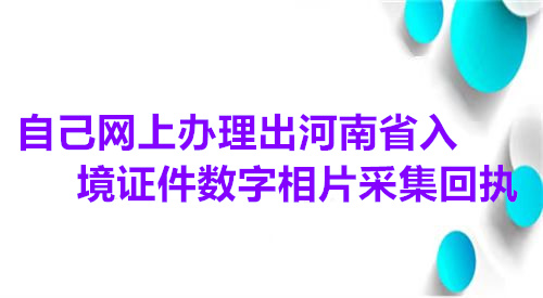 自己网上办理河南省出入境数字相片采集回执