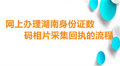 网上办理海南身份证数码相片采集回执的流程