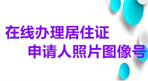 在线办理居住证申请人照片图像号