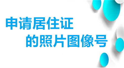 申请居住证的照片图像号