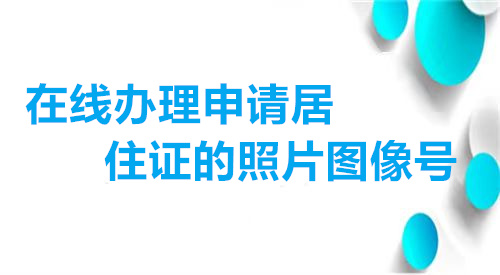 在线办理申请居住证的照片图像号