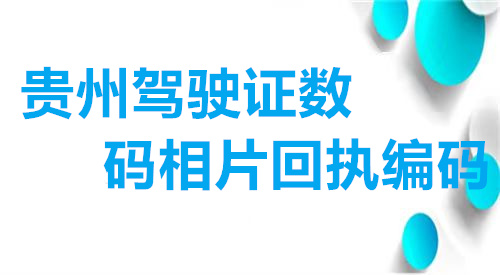 贵州驾驶证数码相片回执编码