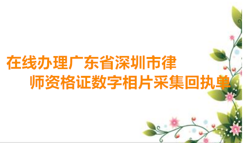 在线办理广东省深圳市律师资格证数字相片采集回执单