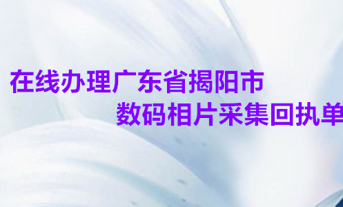 在线办理广东省揭阳市数码相片采集回执单