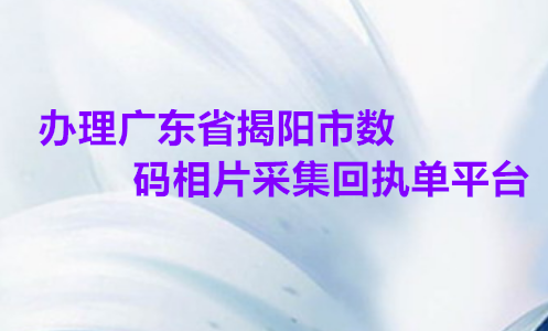 办理广东省揭阳市数码相片采集回执单平台