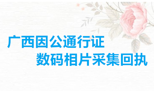 广西因公通行证数码相片采集回执