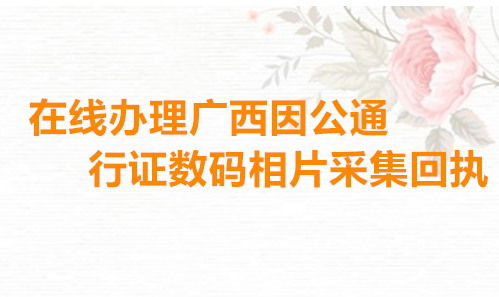 在线办理广西因公通行证数码相片采集回执