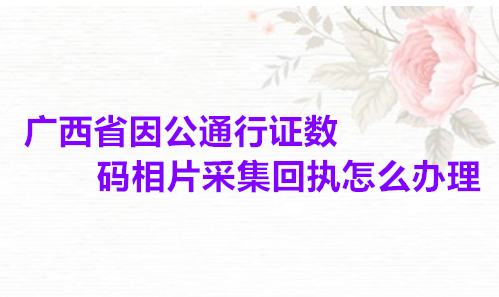 广西省因公通行证数码相片采集回执怎么办理