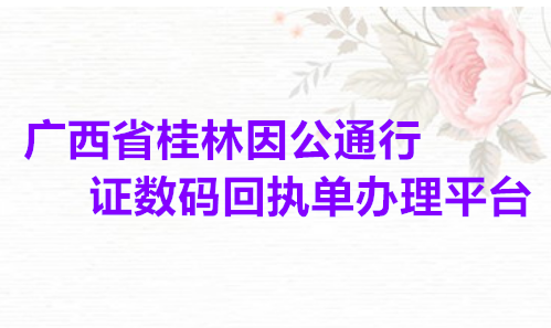 广西省桂林因公通行证数码回执单办理平台