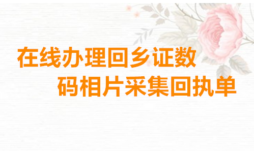 在线办理回乡证数码相片采集回执单