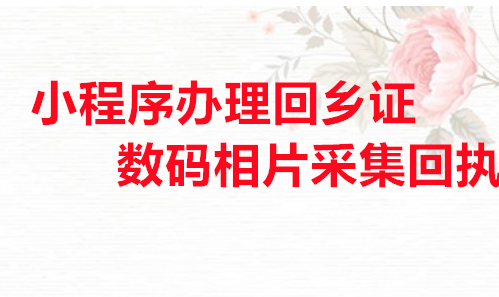 小程序办理回乡证数码相片采集回执