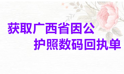 获取广西省因公护照数码回执单