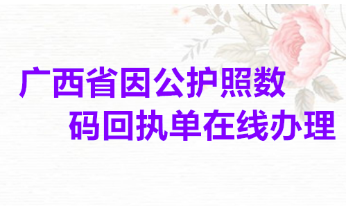 广西省因公护照数码回执单在线办理